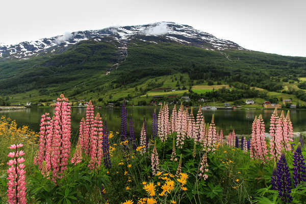 Poster Pemandangan Gunung Norway Mountains Lake 1Z 001