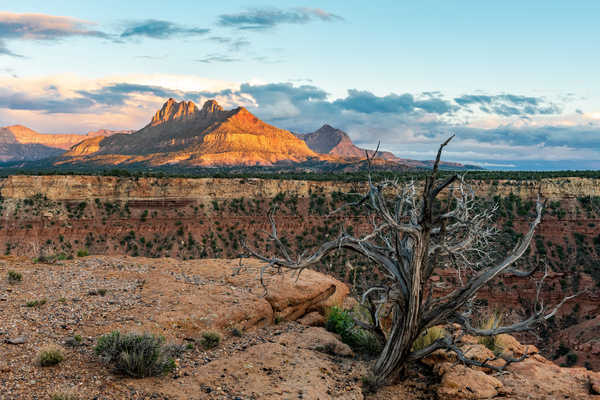 poster pegunungan Mountain Nature USA Zion National Park National Park Zion National Park3 APC