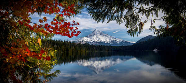 Poster Pemandangan Gunung Forest Lake Mountain Nature Reflection Earth Reflection APC