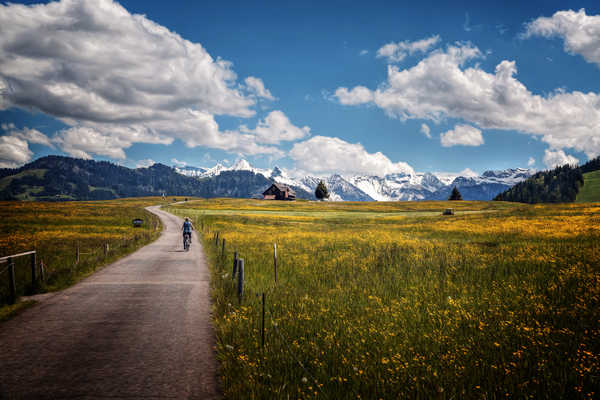 poster pemandangan alam gunung Roads Fields Mountains 1Z