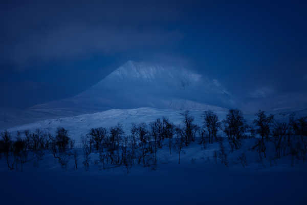 poster pemandangan alam gunung Winter Mountains Snow Trees Night 1Z