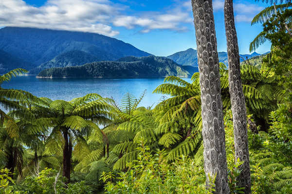 poster pemandangan alam gunung New Zealand Mountains Lake Elaine Bay Marlborough 1Z