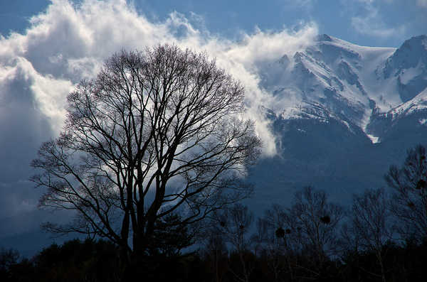 poster pegunungan Cloud Earth Mountain Snow Tree Winter Earth Winter APC