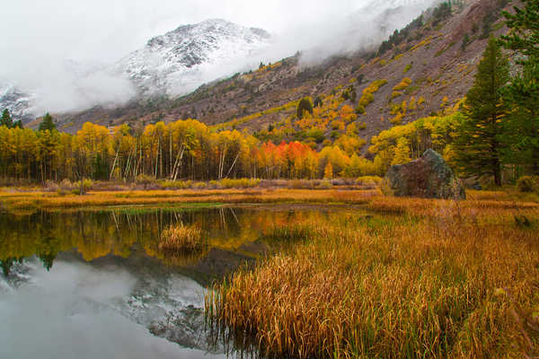 poster pemandangan alam gunung USA Autumn Pond Mountains California Trees 1Z