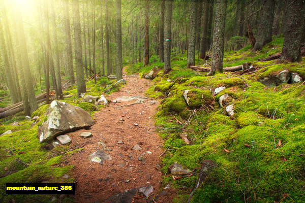 poster pemandangan alam gunung mountain 386