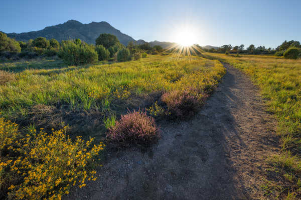 poster gunung USA Morning Sunrises and sunsets Mountains 1Z