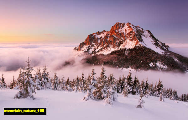 poster pemandangan alam gunung mountain 165