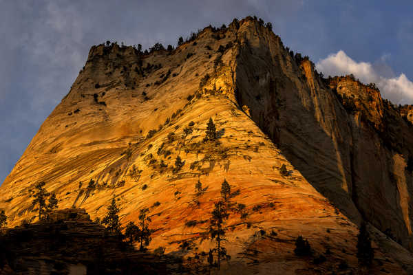 poster gunung Zion National Park USA Mountains Parks 1Z