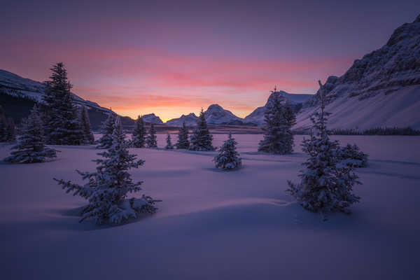 poster pemandangan alam gunung Canada Parks Winter Mountains Sunrises and sunsets 1Z