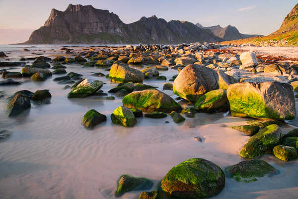 poster gunung Norway Lofoten Mountains Coast Stones Moss 1Z