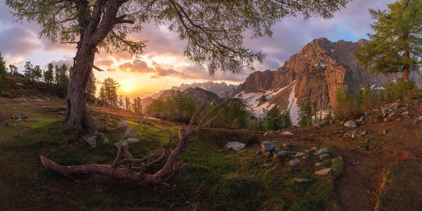 poster pemandangan alam gunung Mountains Stones Slovenia Scenery Trees 1Z