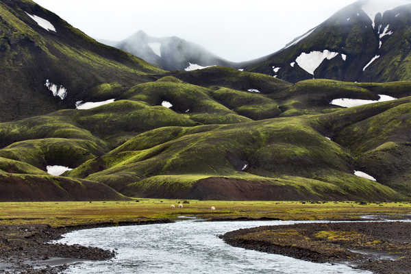 poster pemandangan alam gunung Iceland Mountains Moss Stream 1Z