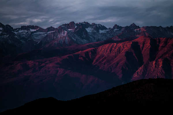 poster pegunungan mountains ancient bristlecone pine forest silhouette sunset WPS