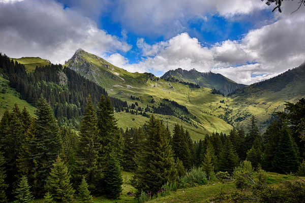 poster pegunungan France Scenery Grasslands Mountains Mieussy Fir 1Z