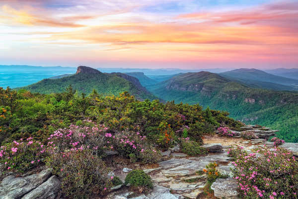 Poster Pemandangan Gunung USA Parks Mountains Scenery Roan Mountain 1Z