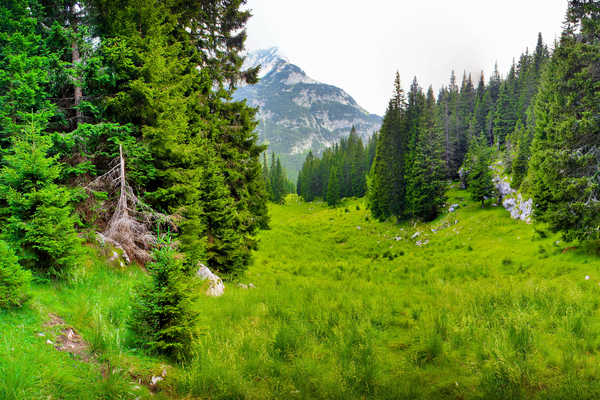 poster pegunungan Green Landscape Mountains Mountain APC