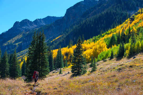 Poster Pemandangan Gunung USA Mountains Forests Autumn Colorado Spruce 1Z