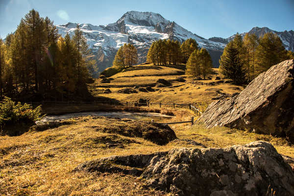 poster gunung France Mountains Stones Autumn Le Monal Trees 1Z