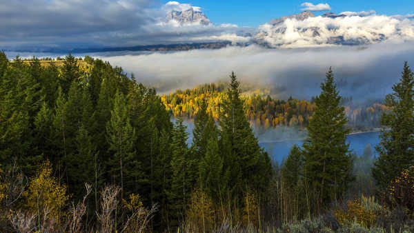 poster pemandangan alam gunung Autumn Forests Mountains Scenery Spruce Fog 1Z