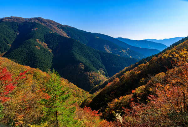 poster pegunungan Japan Parks Mountains Autumn Nara Park 1Z