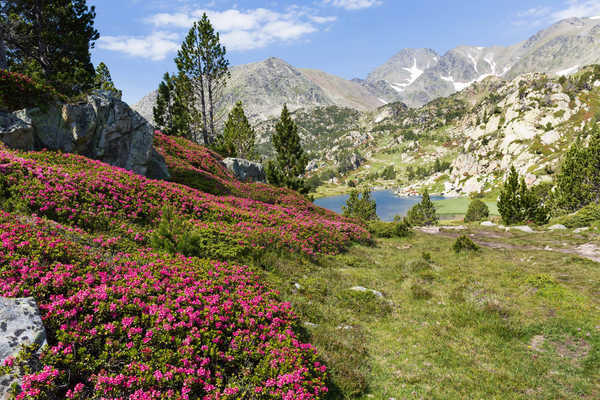 poster pemandangan alam gunung France Mountains Lake 1Z 004