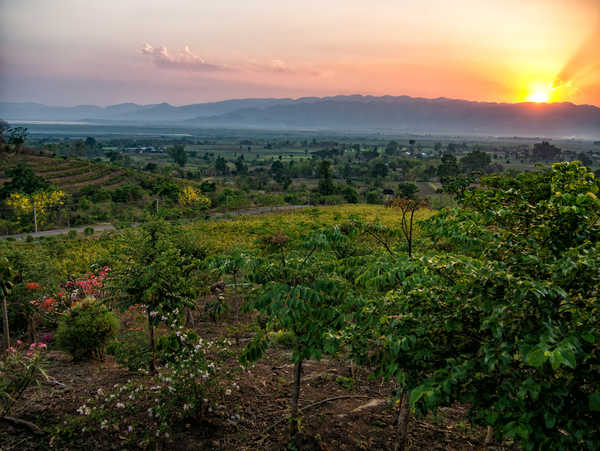 poster gunung Sunrises and sunsets Tropics Fields Red Mountain 1Z