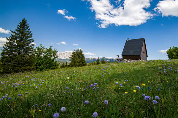 poster pemandangan alam gunung Mountains Summer France Grasslands Vercors Massif 1Z