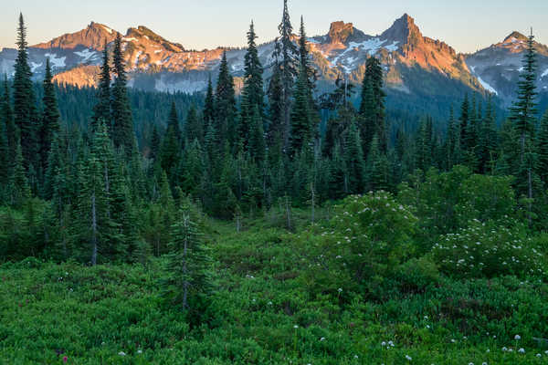 poster pegunungan USA Parks Mountains Forests Mount Rainier National 1Z 001