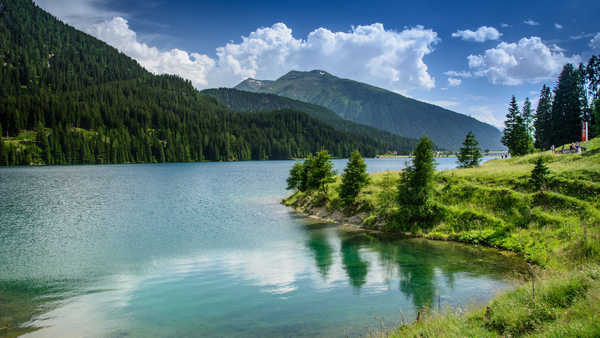 poster pegunungan Switzerland Mountains Lake Lake Davos Clouds Trees 1Z