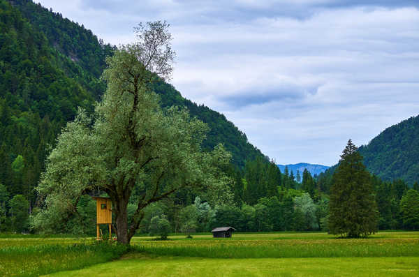 poster gunung Austria Mountains Grasslands Kessen Tyrol Trees 1Z