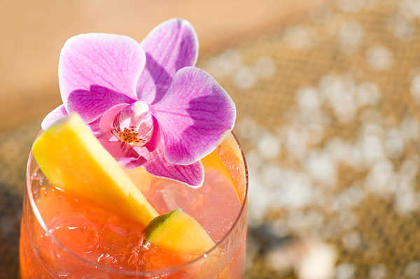 Hiasan Dinding Anggrek Orchid Cocktail Drinks WPS