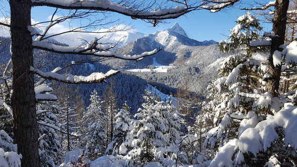 poster pemandangan alam gunung Poland Mountains Winter Tatra Trees Snow 1Z