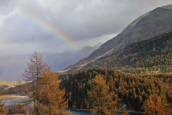 Poster Pemandangan Gunung Mountains Forests Alps Trees Rainbow 1Z