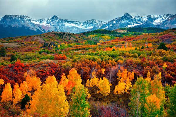 poster pegunungan Fall Foliage Forest Landscape Mountain Earth Forest APC