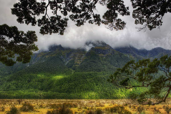 poster pegunungan Fog Mountain New Zealand Mountains Mountain APC