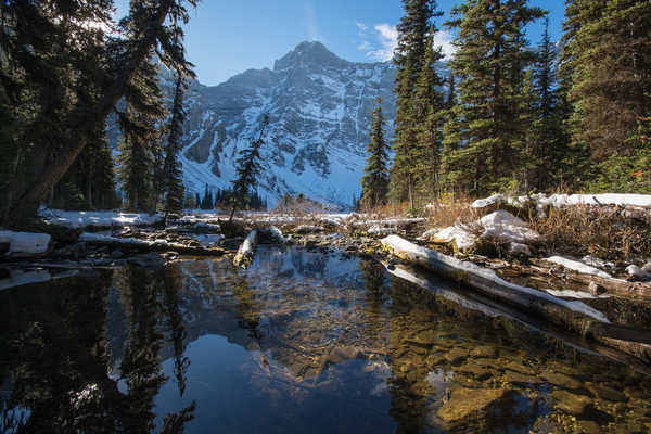 Poster Pemandangan Gunung Canada Parks Winter Mountains Lake Banff Spruce 1Z