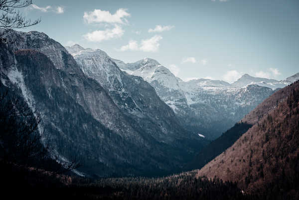 poster pegunungan Forest Mountain Nature Valley Earth Valley APC