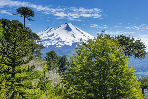 poster gunung Landscape Mountain Nature Tree Volcano Volcanoes Volcano APC