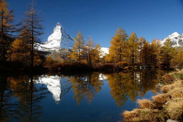 poster gunung Mountains Lake Switzerland Grindjisee Trees 1Z