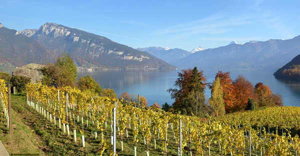 poster pemandangan alam gunung Switzerland Scenery Lake Mountains Autumn Lake 1Z