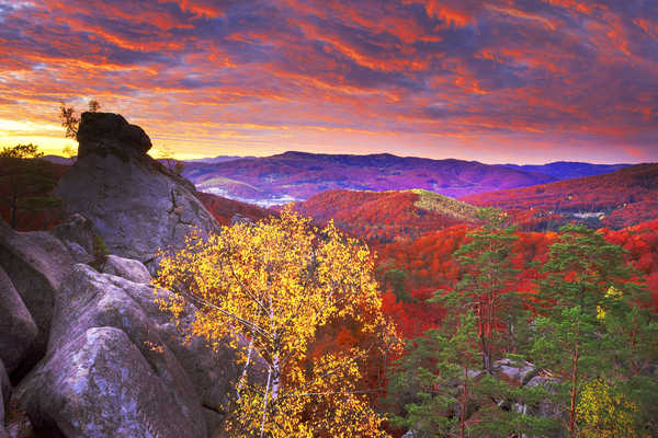 poster pemandangan alam gunung Ukraine Mountains Forests Autumn Sky Evening 1Z