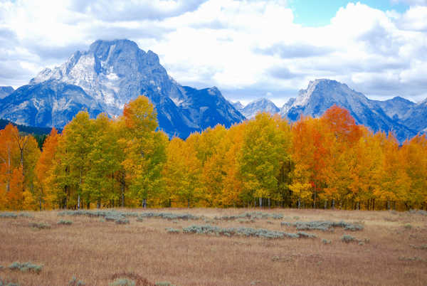 Poster Pemandangan Gunung Cloud Fall Foliage Mountain Nature Tree Mountains Mountain APC