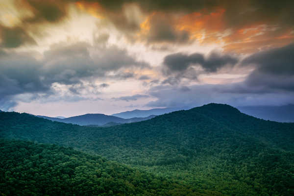 poster pegunungan Forest Landscape Mountain Nature Sky Earth Landscape APC