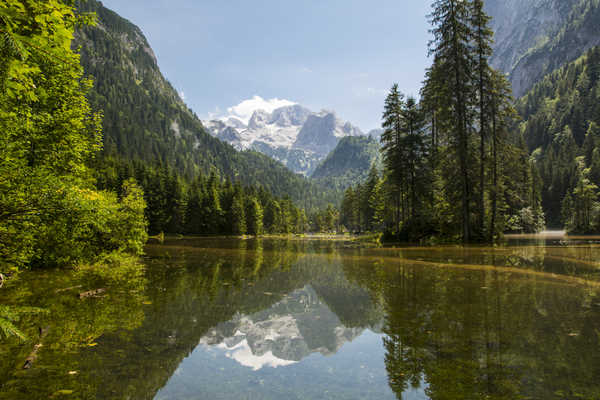 poster pemandangan alam gunung Austria Mountains Forests Lake Scenery Gosau Fir 1Z