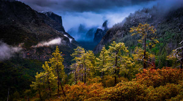 Poster Pemandangan Gunung USA Forests Mountains Sierra Nevada California 1Z