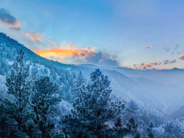 poster gunung Fog Forest Landscape Mountain Winter Earth Fog APC