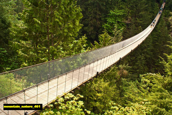 poster pemandangan alam gunung mountain 461