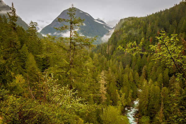 Poster Pemandangan Gunung USA Scenery Mountains 1Z 001