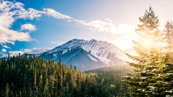 poster pemandangan alam gunung Cloud Forest Mountain Mountains Mountain APC