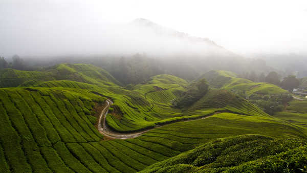 poster pemandangan alam gunung Mountains Mountain APC 321